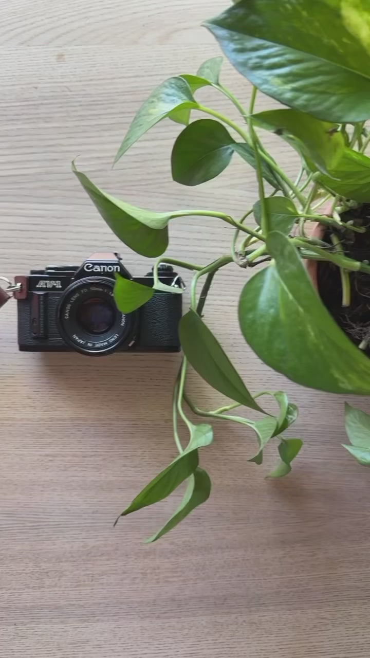 Leather Camera Hand Strap